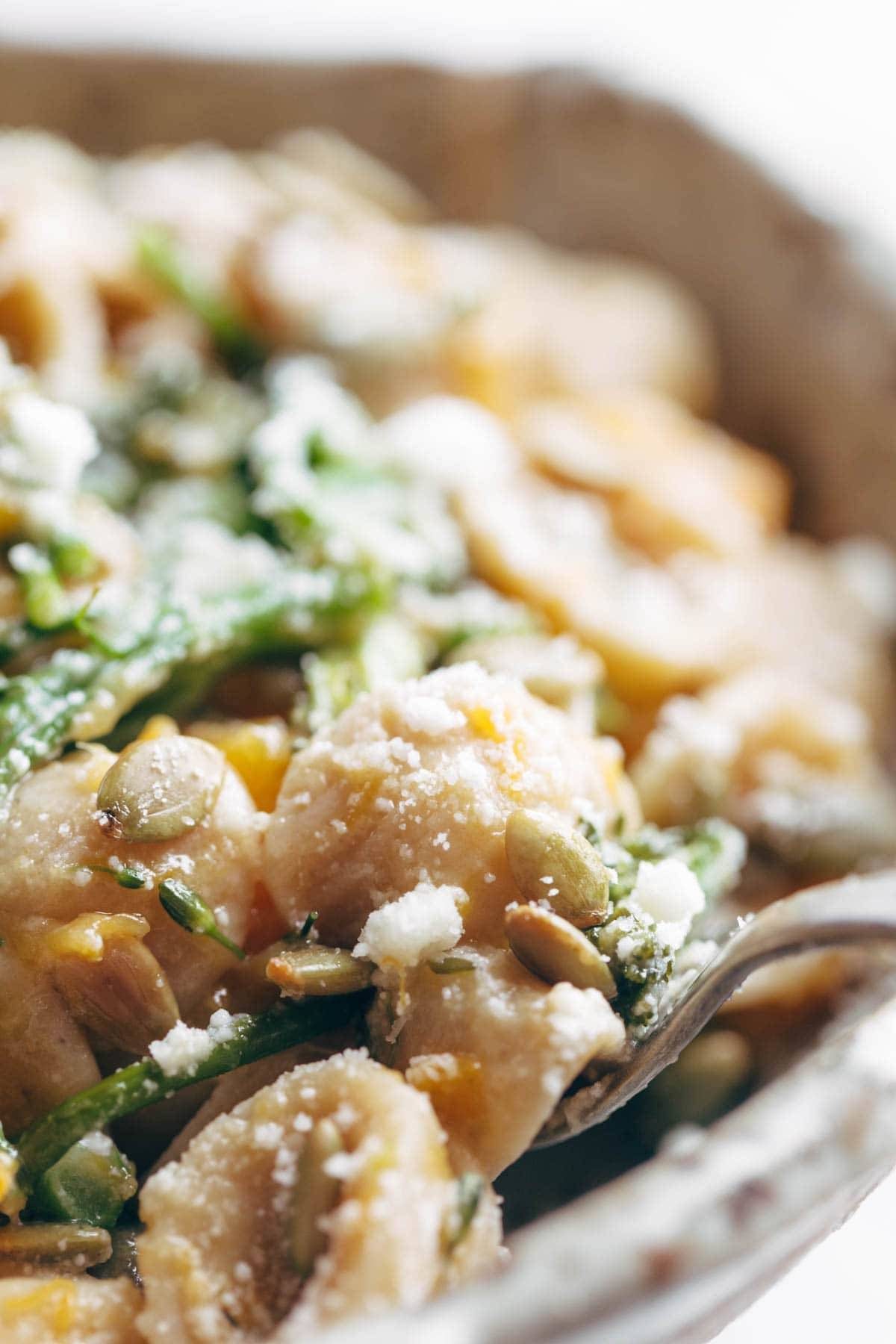 Creamy Parmesan Orecchiette